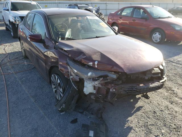 Photo 8 VIN: 1HGCR2F38DA173704 - HONDA ACCORD LX 