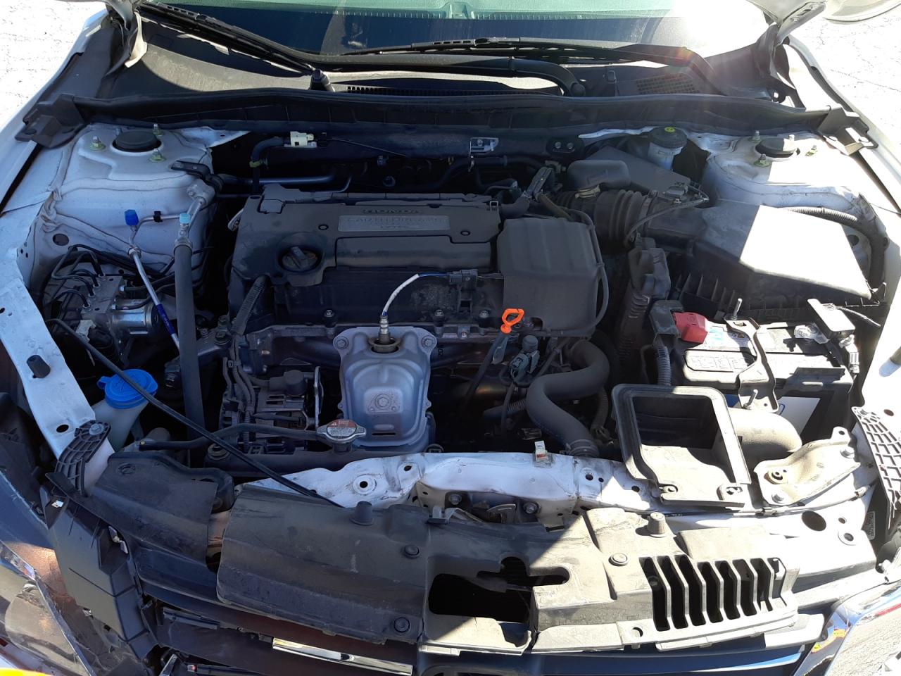 Photo 10 VIN: 1HGCR2F38EA257264 - HONDA ACCORD 