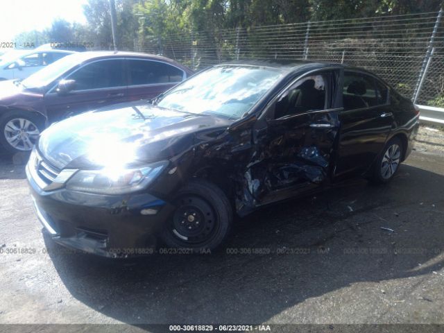 Photo 1 VIN: 1HGCR2F39DA146219 - HONDA ACCORD SDN 