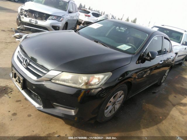 Photo 1 VIN: 1HGCR2F39DA262181 - HONDA ACCORD SDN 