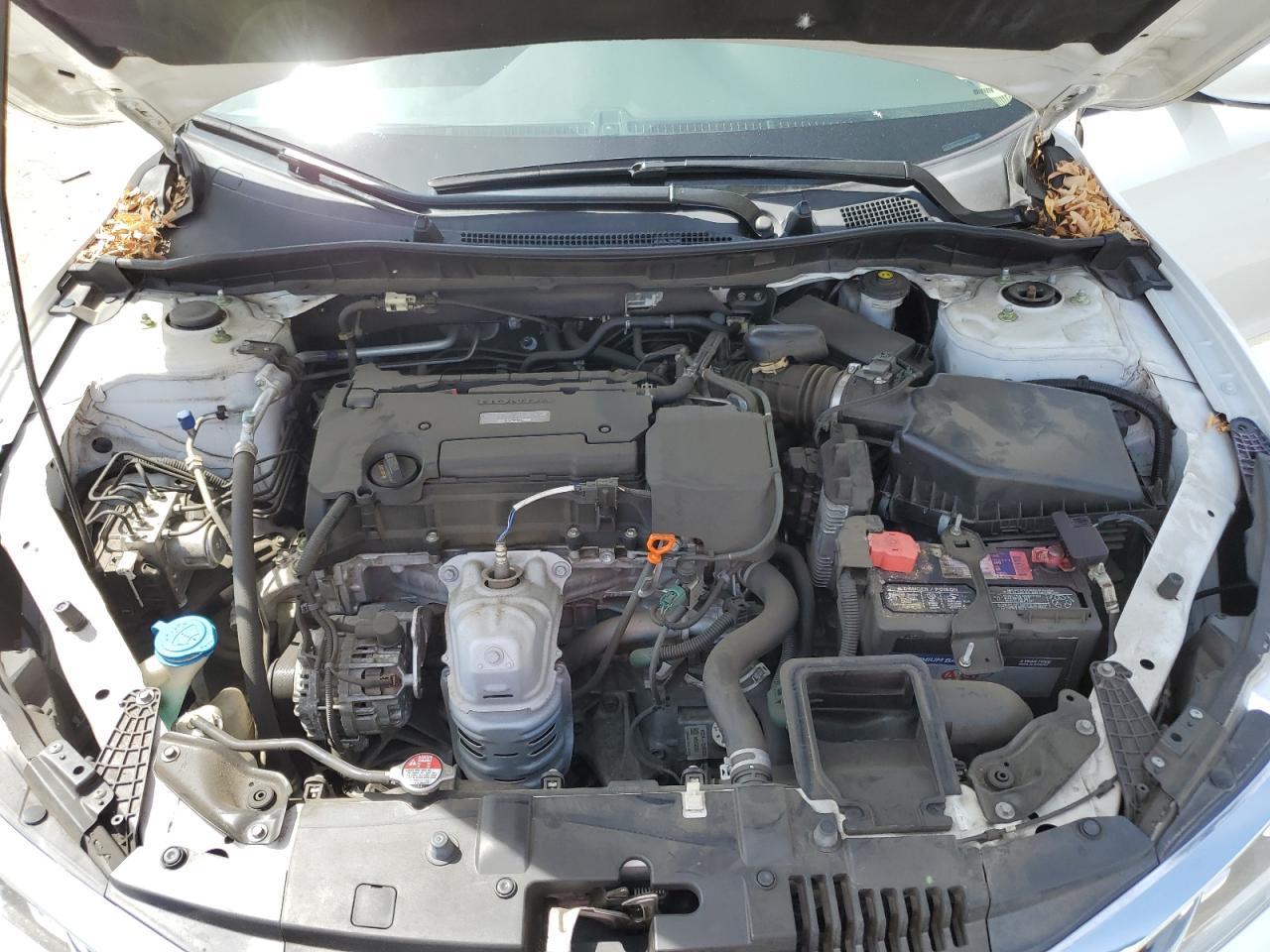 Photo 10 VIN: 1HGCR2F39HA051164 - HONDA ACCORD 