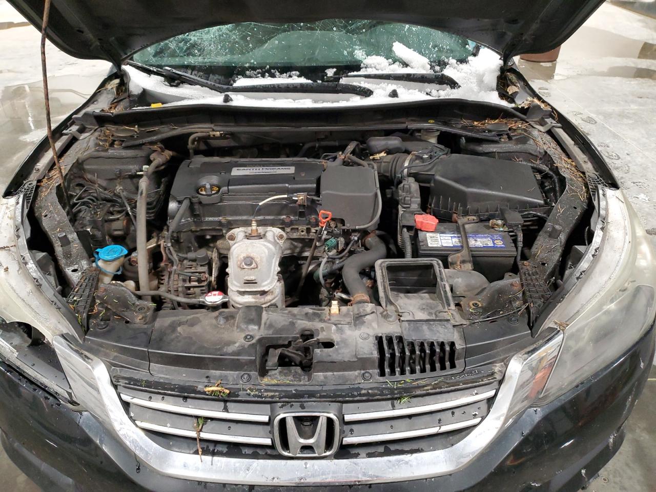 Photo 10 VIN: 1HGCR2F3XEA801151 - HONDA ACCORD 