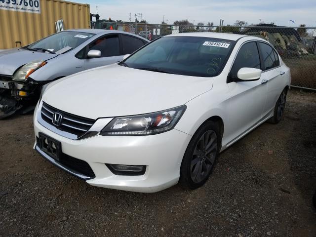 Photo 1 VIN: 1HGCR2F50DA233315 - HONDA ACCORD SPO 