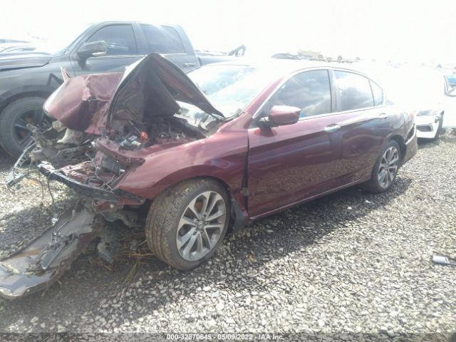 Photo 1 VIN: 1HGCR2F50DA238773 - HONDA ACCORD SDN 