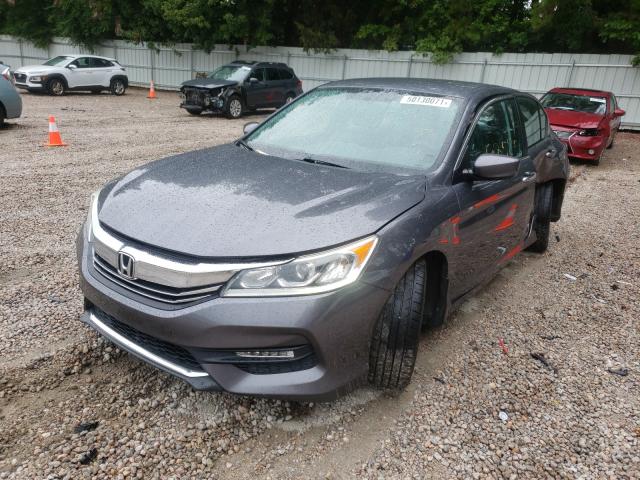 Photo 1 VIN: 1HGCR2F50GA184895 - HONDA ACCORD SPO 