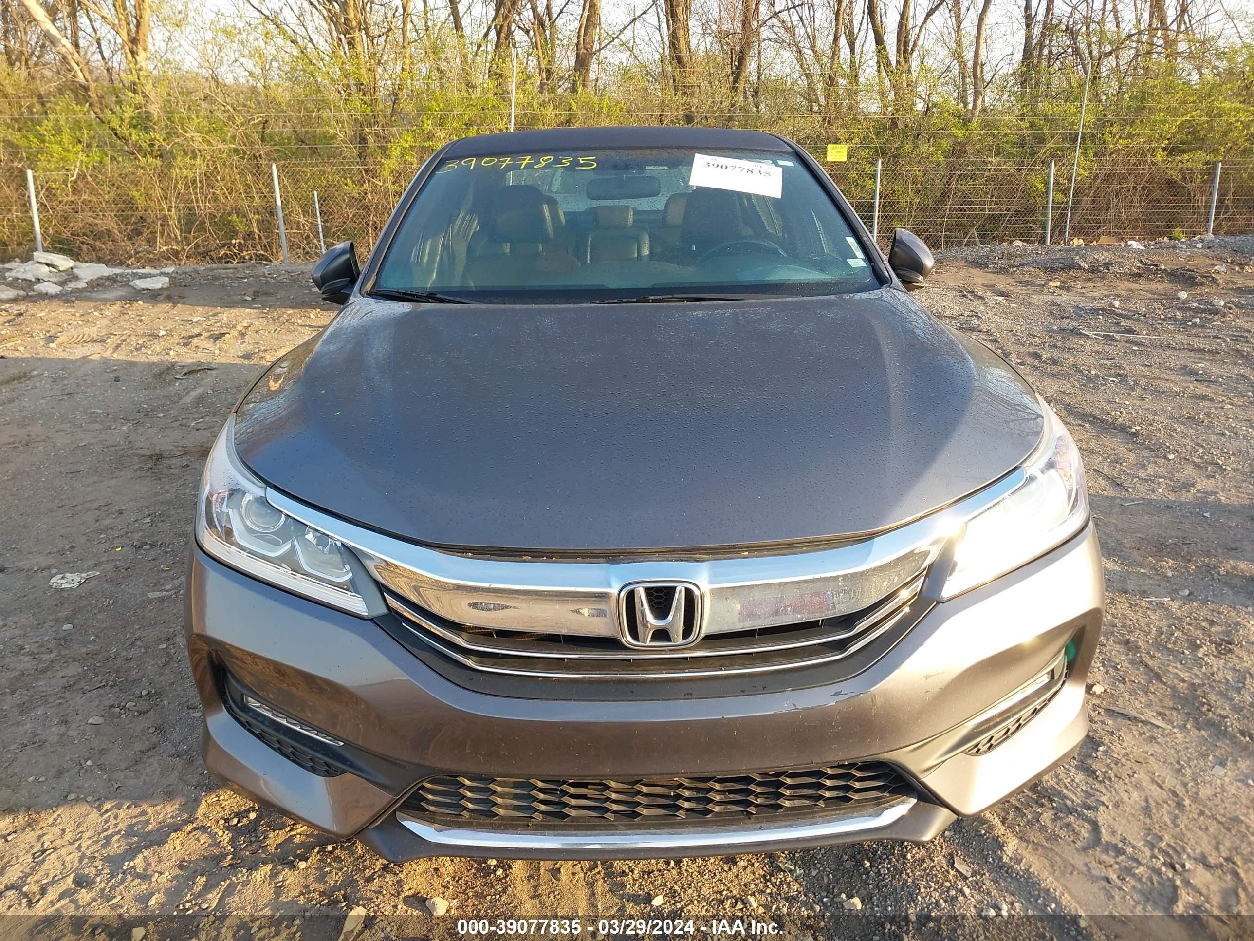 Photo 11 VIN: 1HGCR2F50HA256941 - HONDA ACCORD 