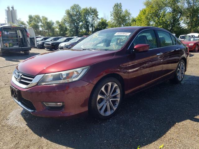 Photo 1 VIN: 1HGCR2F51DA066866 - HONDA ACCORD SPO 