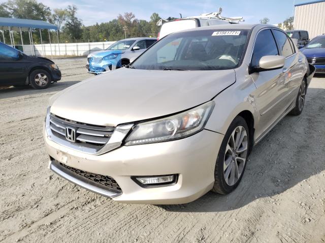 Photo 1 VIN: 1HGCR2F51DA075597 - HONDA ACCORD SPO 