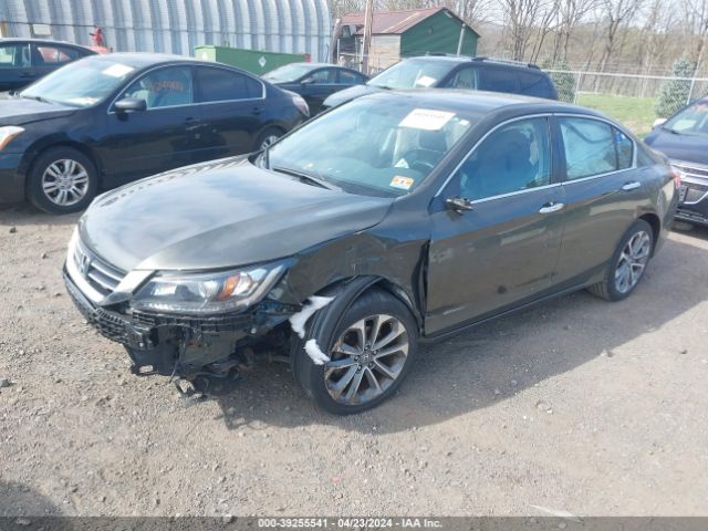 Photo 1 VIN: 1HGCR2F51DA262256 - HONDA ACCORD 