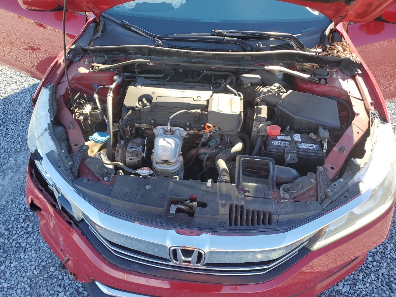 Photo 10 VIN: 1HGCR2F51GA148438 - HONDA ACCORD 