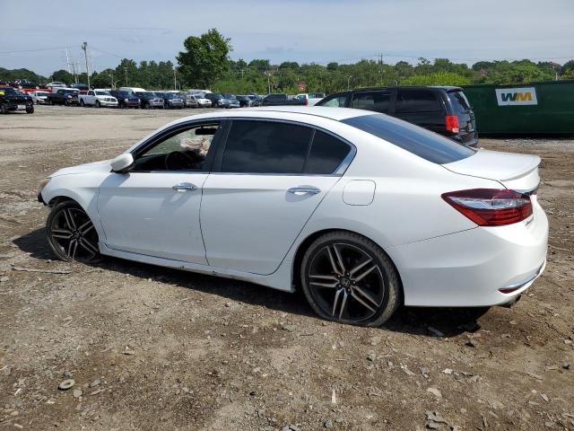 Photo 1 VIN: 1HGCR2F51HA146383 - HONDA ACCORD SPO 