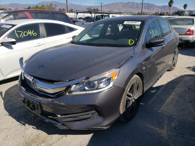 Photo 1 VIN: 1HGCR2F51HA163541 - HONDA ACCORD SPO 