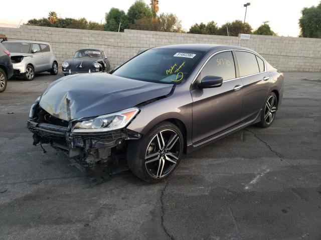 Photo 1 VIN: 1HGCR2F51HA174992 - HONDA ACCORD SPO 