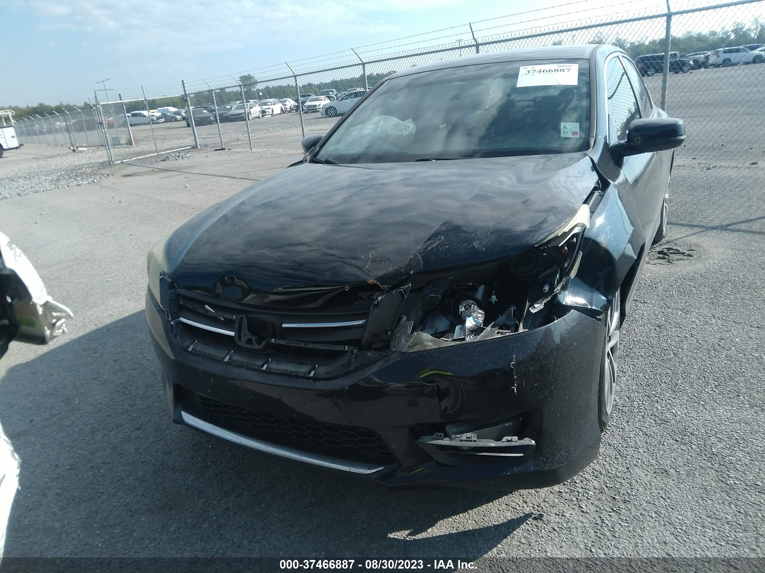 Photo 11 VIN: 1HGCR2F52EA236315 - HONDA ACCORD 