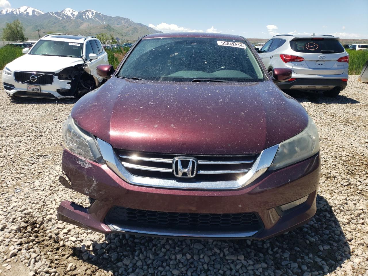 Photo 4 VIN: 1HGCR2F52EA281903 - HONDA ACCORD 