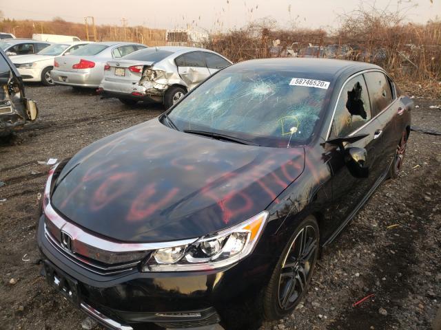 Photo 8 VIN: 1HGCR2F52GA129915 - HONDA ACCORD SPO 