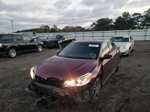 Photo 1 VIN: 1HGCR2F52HA175116 - HONDA ACCORD SPO 