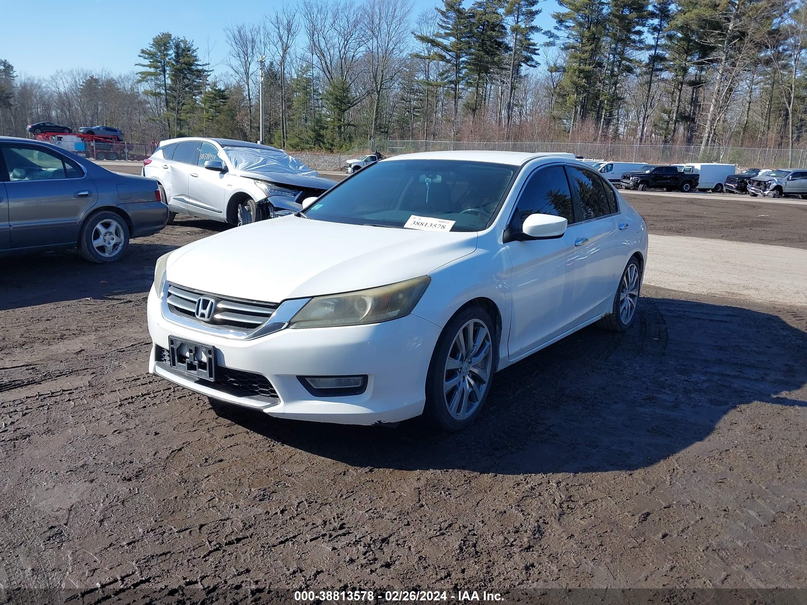 Photo 1 VIN: 1HGCR2F53DA105814 - HONDA ACCORD 