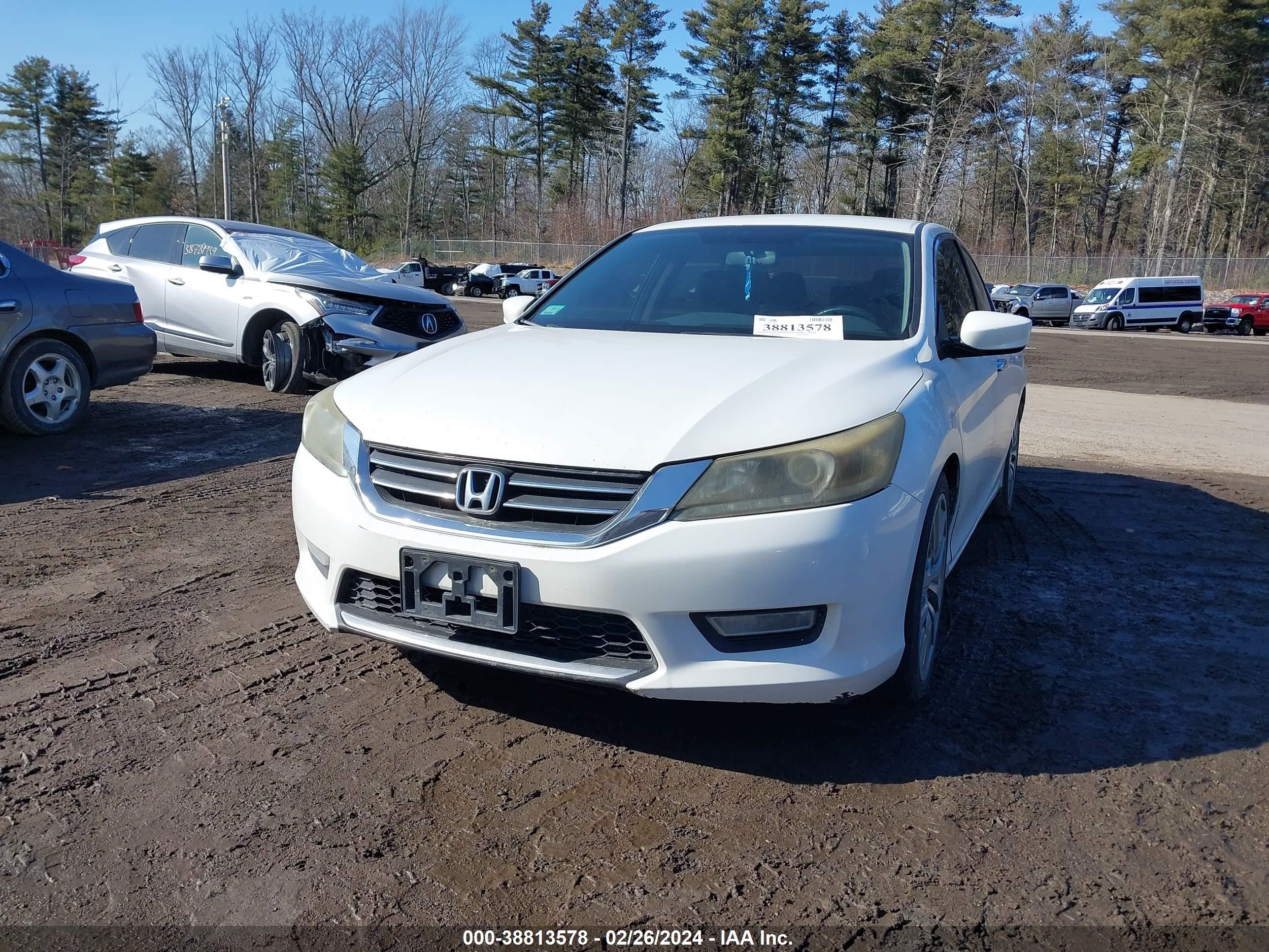 Photo 10 VIN: 1HGCR2F53DA105814 - HONDA ACCORD 