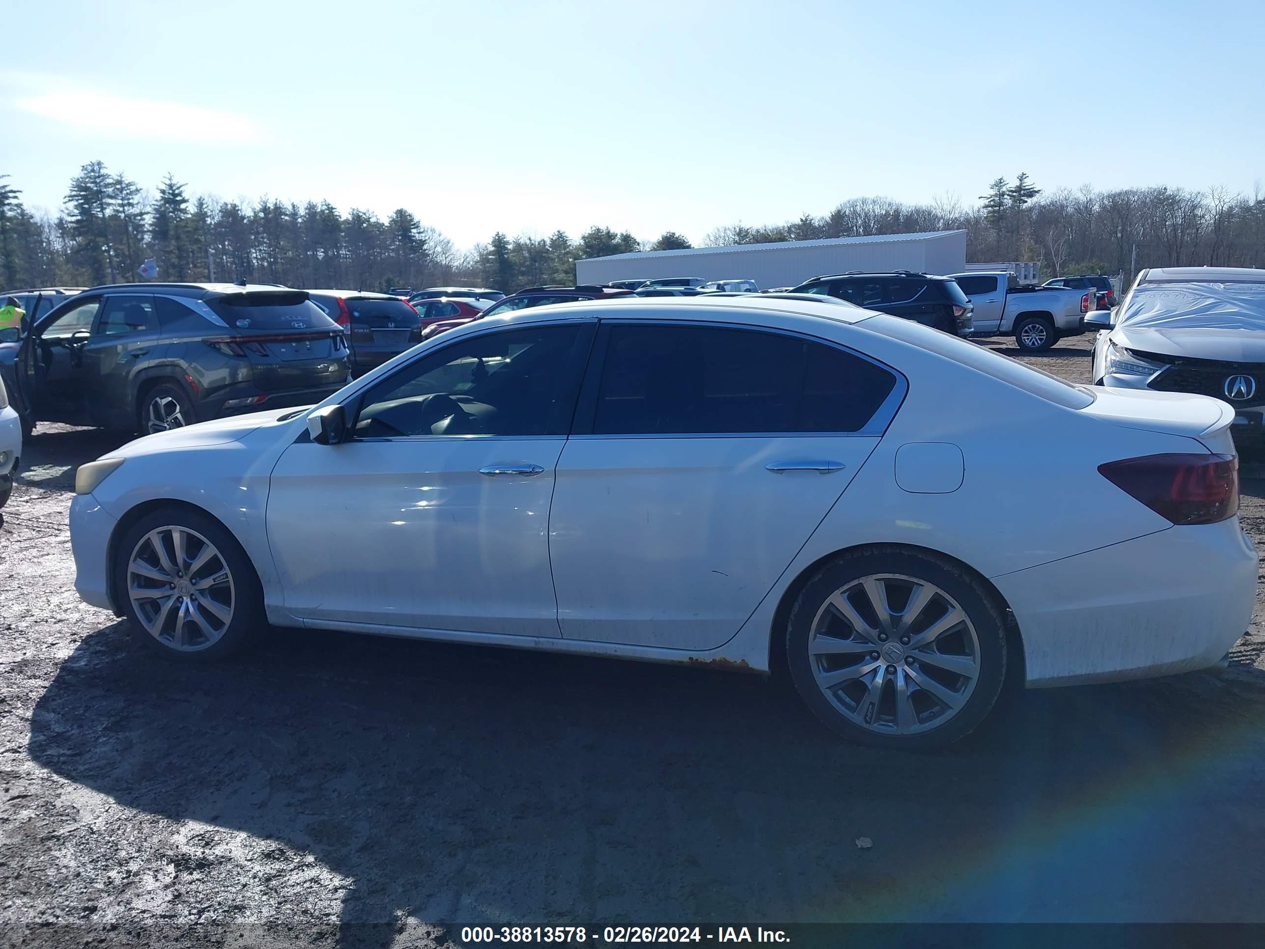 Photo 11 VIN: 1HGCR2F53DA105814 - HONDA ACCORD 