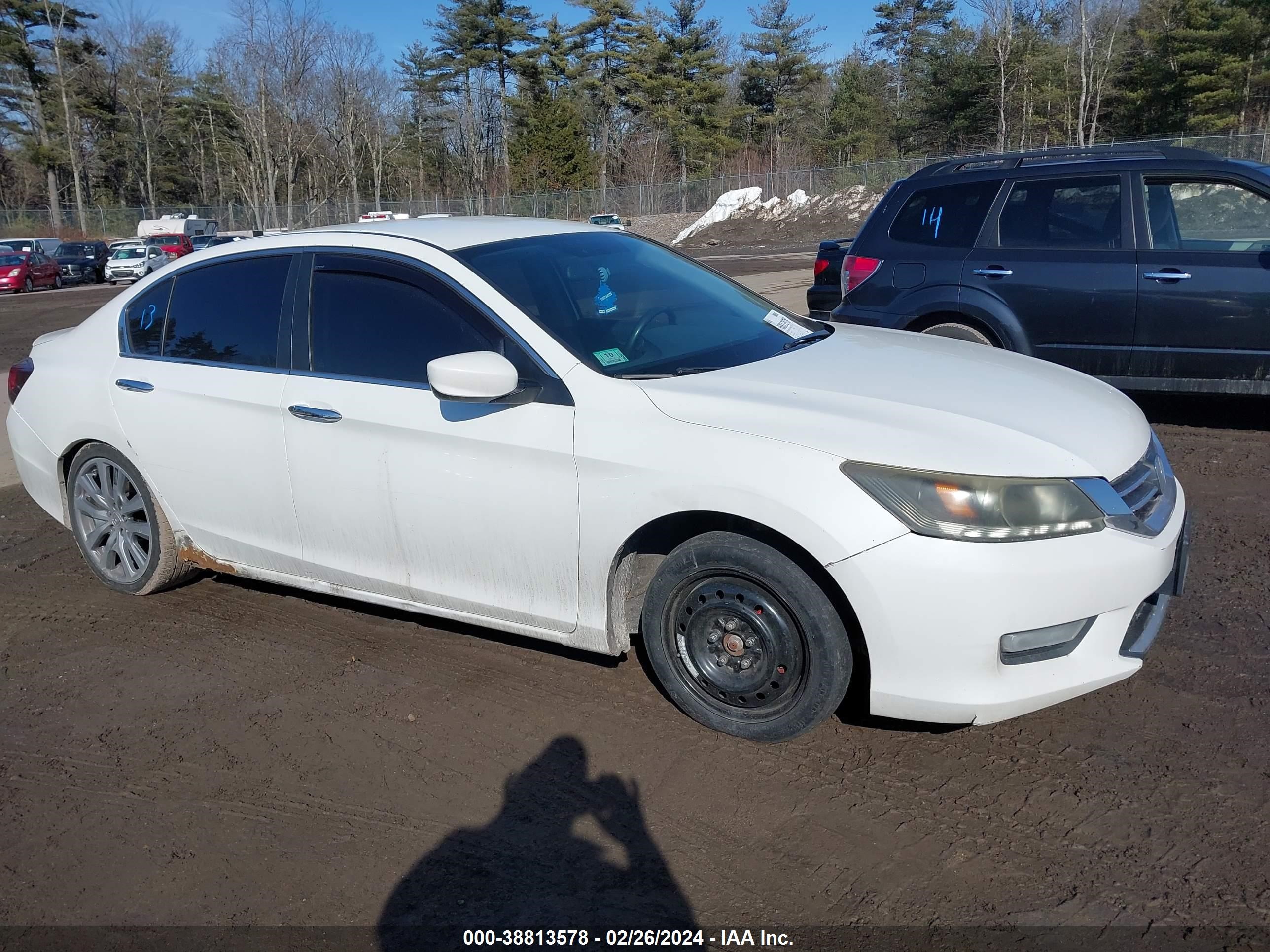 Photo 13 VIN: 1HGCR2F53DA105814 - HONDA ACCORD 