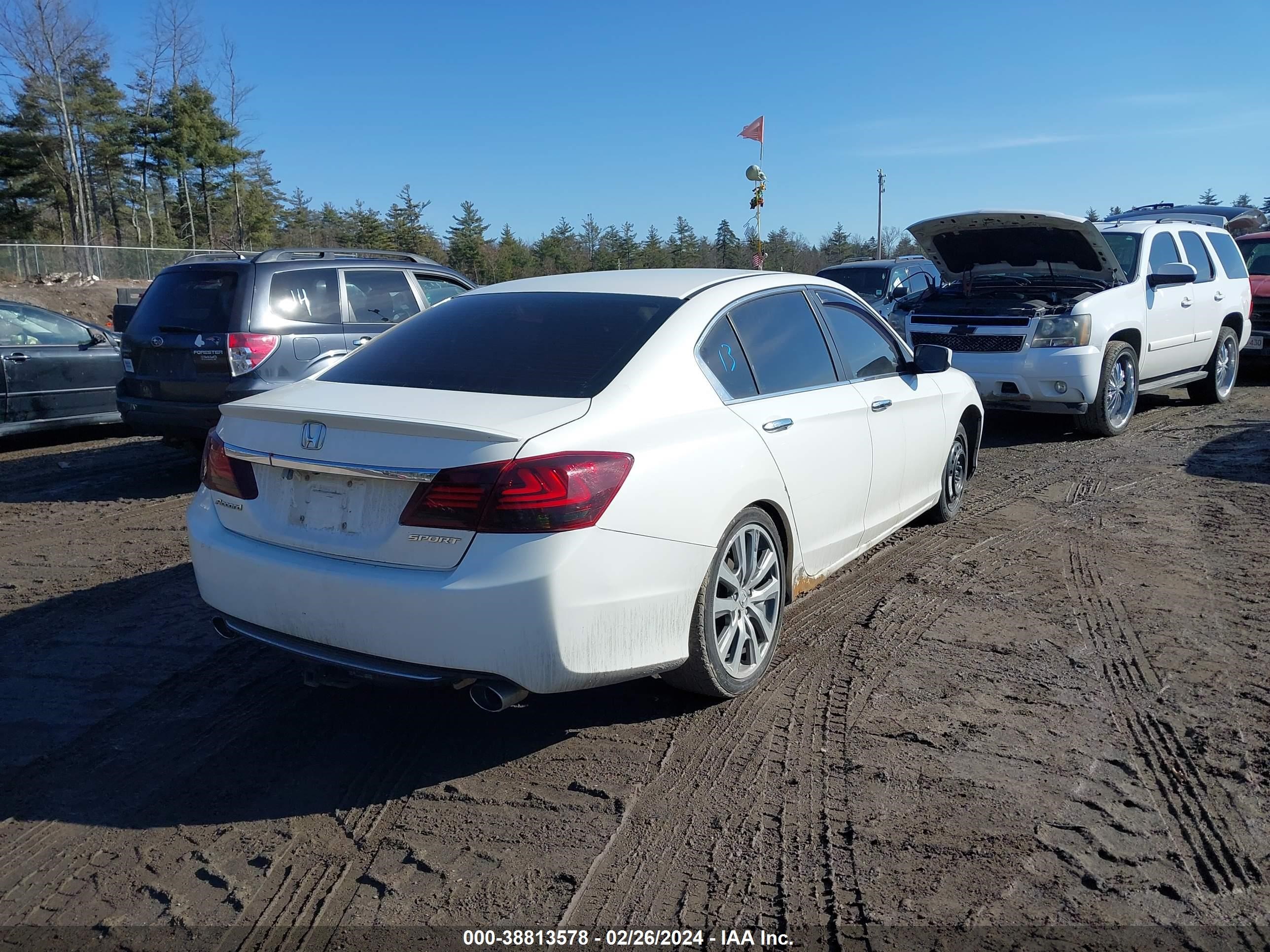 Photo 3 VIN: 1HGCR2F53DA105814 - HONDA ACCORD 