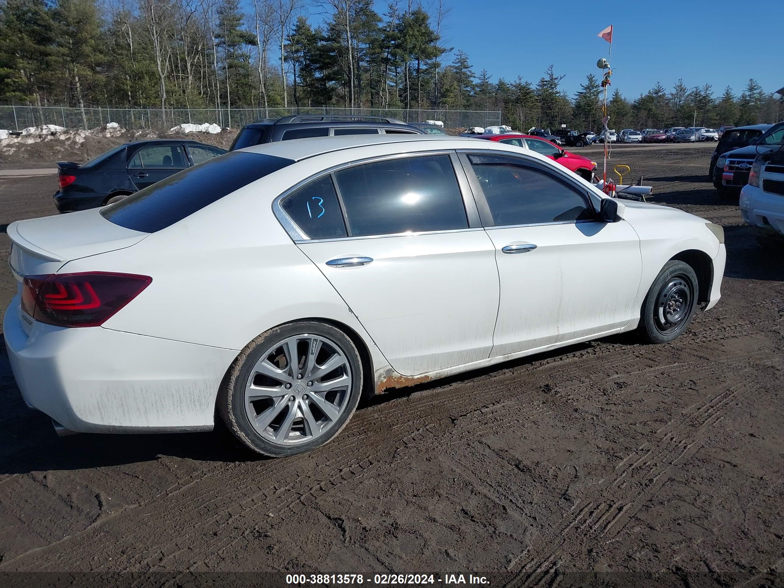 Photo 5 VIN: 1HGCR2F53DA105814 - HONDA ACCORD 