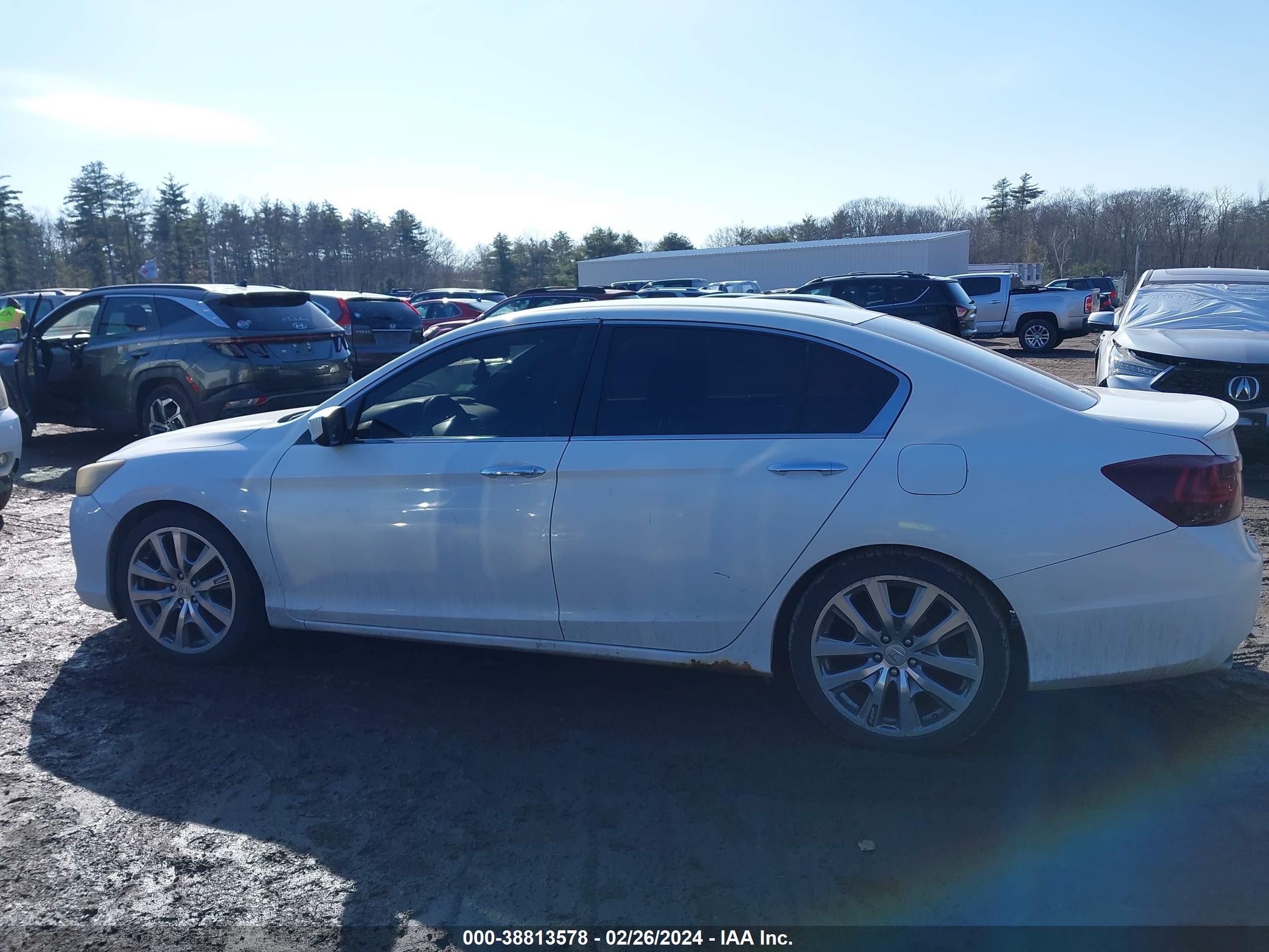 Photo 11 VIN: 1HGCR2F53DA105814 - HONDA ACCORD SPO 