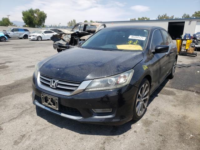 Photo 1 VIN: 1HGCR2F53DA159033 - HONDA ACCORD SPO 