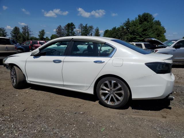 Photo 1 VIN: 1HGCR2F53DA205184 - HONDA ACCORD SPO 