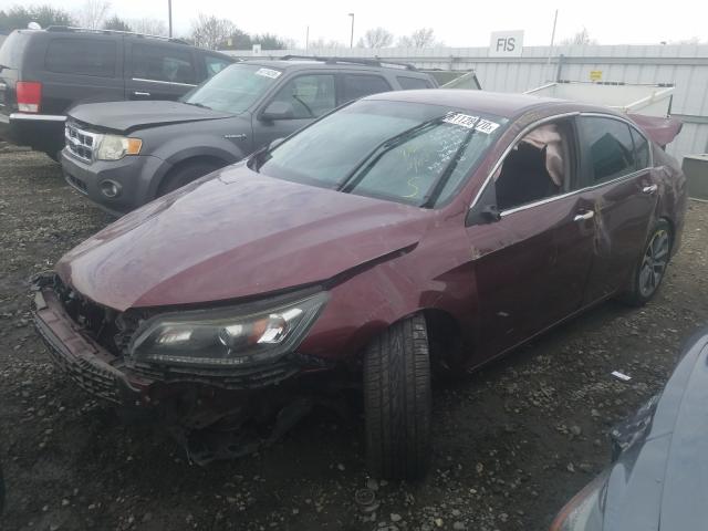 Photo 1 VIN: 1HGCR2F53DA207954 - HONDA ACCORD SPO 