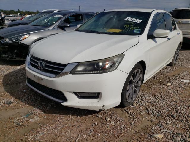 Photo 1 VIN: 1HGCR2F54DA200236 - HONDA ACCORD SPO 