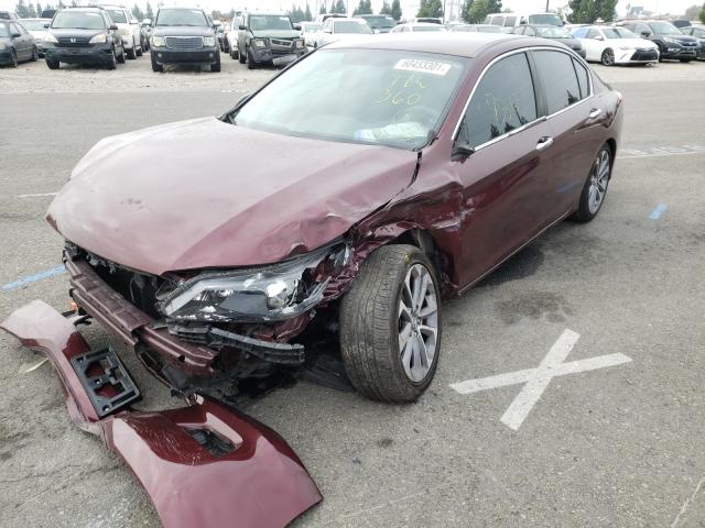 Photo 1 VIN: 1HGCR2F54FA103833 - HONDA ACCORD SPO 