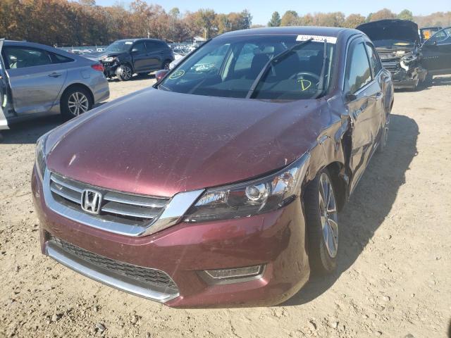 Photo 1 VIN: 1HGCR2F55DA241149 - HONDA ACCORD SPO 