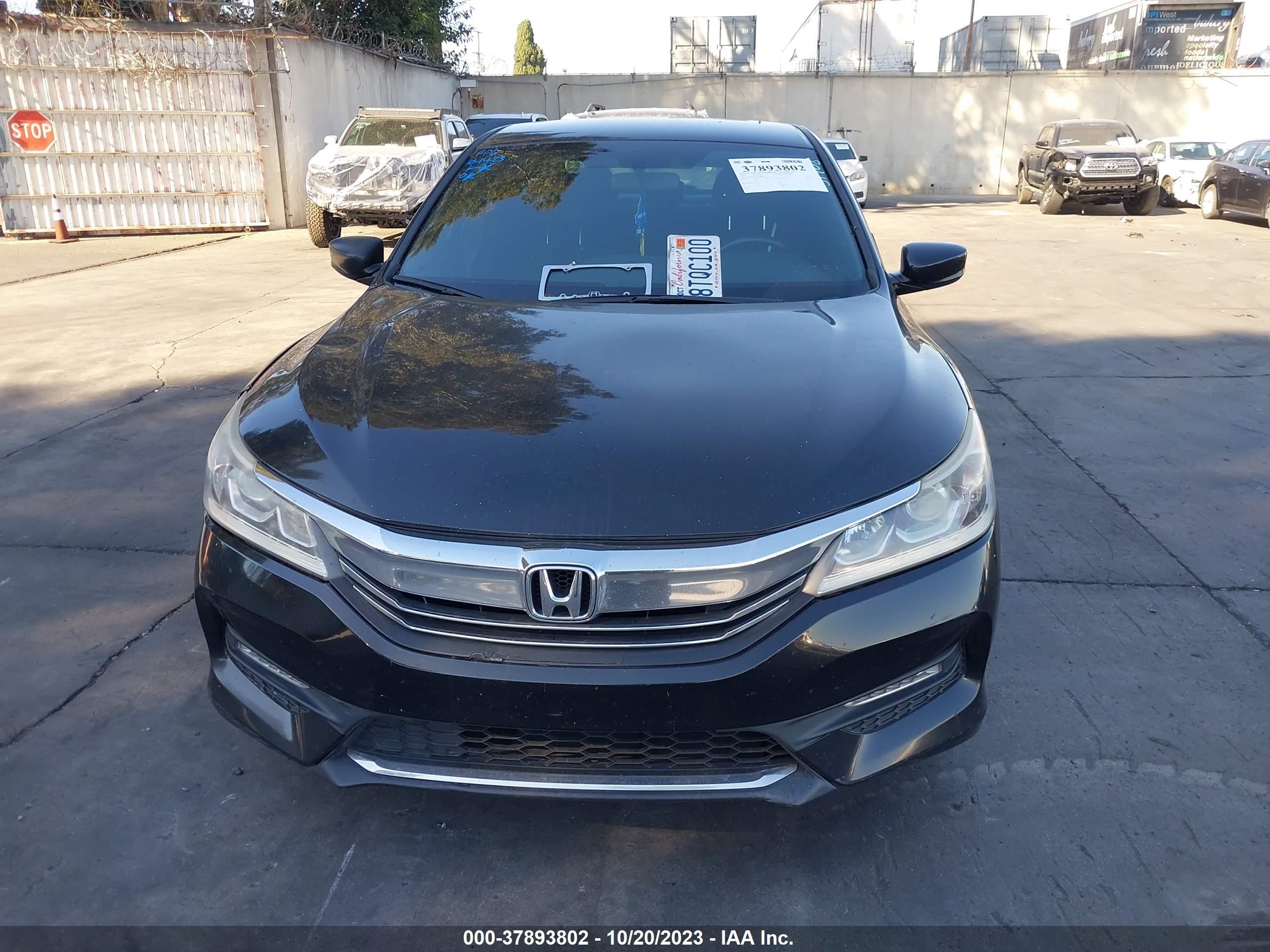 Photo 12 VIN: 1HGCR2F55HA296805 - HONDA ACCORD 