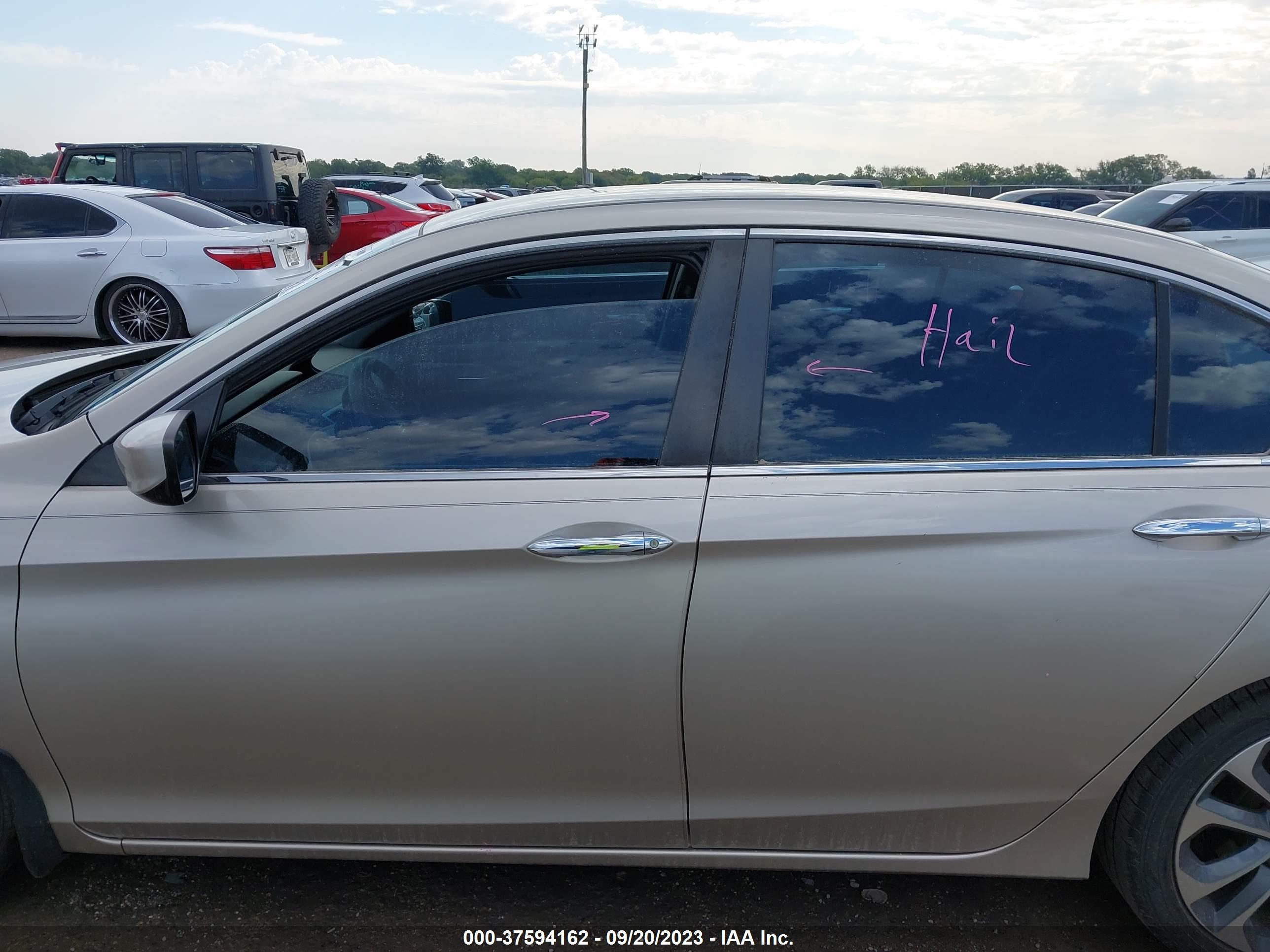 Photo 13 VIN: 1HGCR2F56EA006163 - HONDA ACCORD 