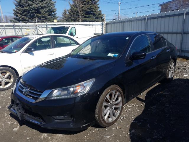 Photo 1 VIN: 1HGCR2F56FA078336 - HONDA ACCORD SPO 