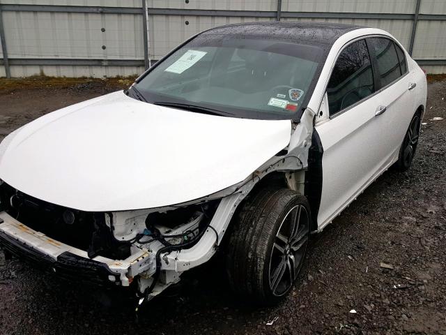 Photo 1 VIN: 1HGCR2F56GA151643 - HONDA ACCORD SPO 