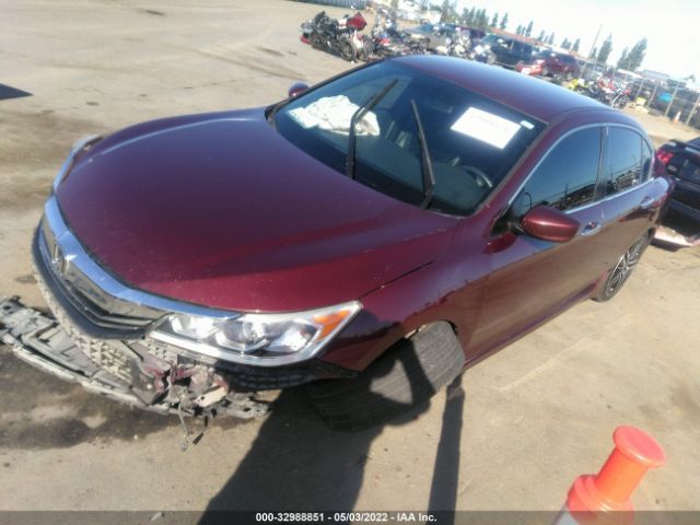 Photo 1 VIN: 1HGCR2F56HA230389 - HONDA ACCORD SEDAN 