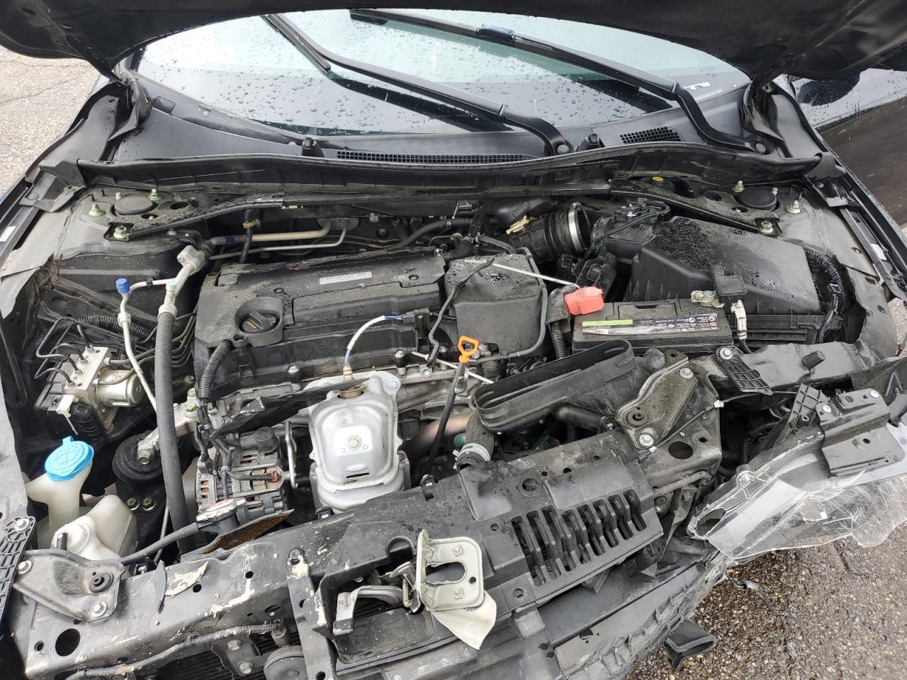 Photo 10 VIN: 1HGCR2F56HA275896 - HONDA ACCORD 