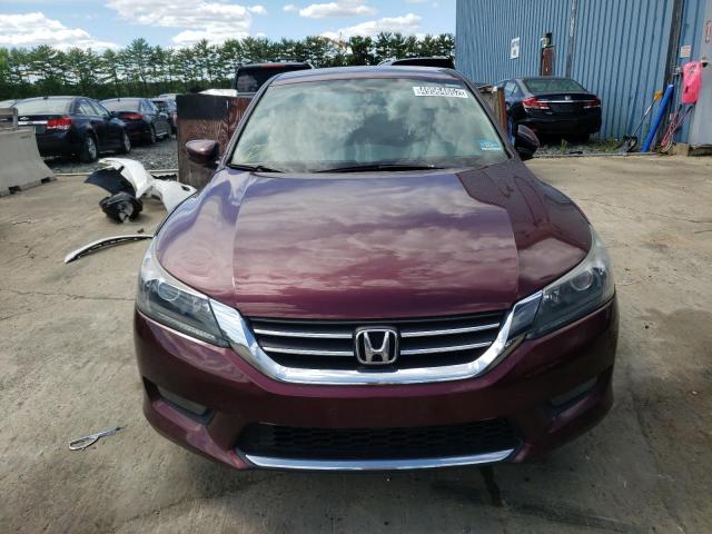 Photo 8 VIN: 1HGCR2F57EA076755 - HONDA ACCORD SPO 