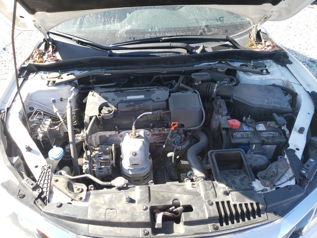 Photo 10 VIN: 1HGCR2F57HA266110 - HONDA ACCORD 