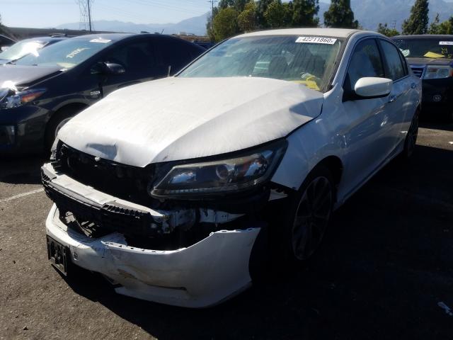 Photo 1 VIN: 1HGCR2F58DA084281 - HONDA ACCORD SPO 