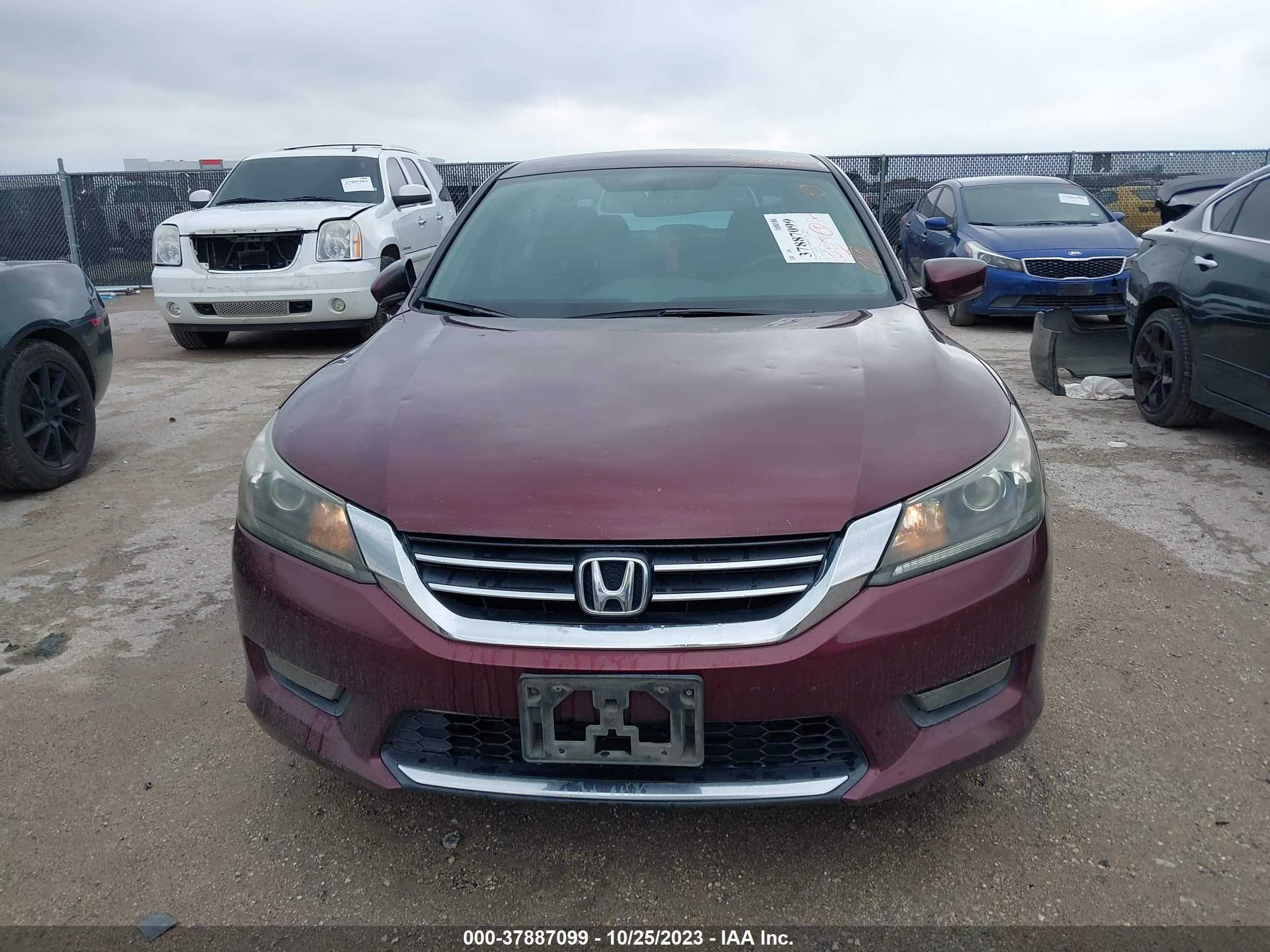 Photo 11 VIN: 1HGCR2F58EA202525 - HONDA ACCORD 