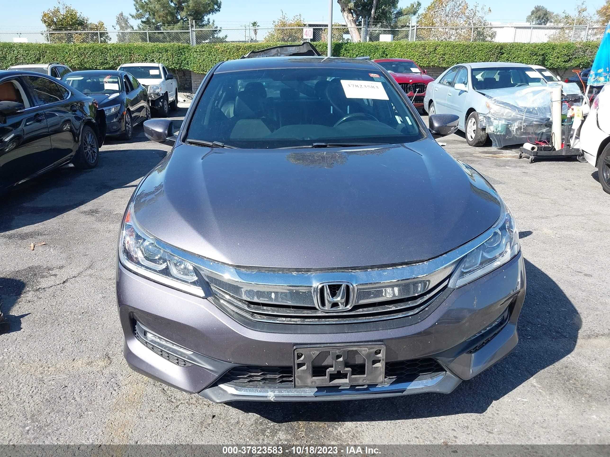 Photo 11 VIN: 1HGCR2F58GA045176 - HONDA ACCORD 