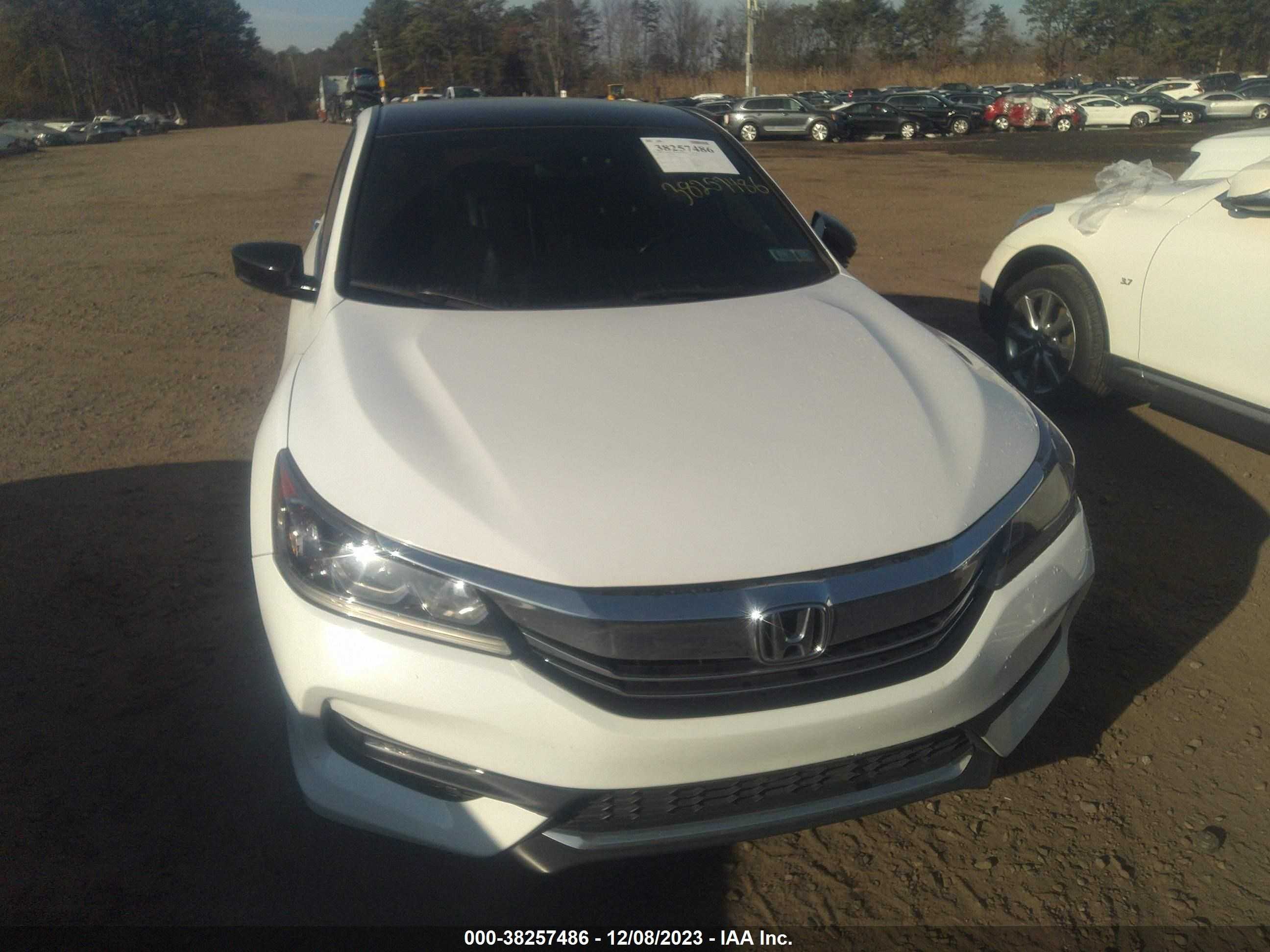 Photo 11 VIN: 1HGCR2F58HA126163 - HONDA ACCORD 