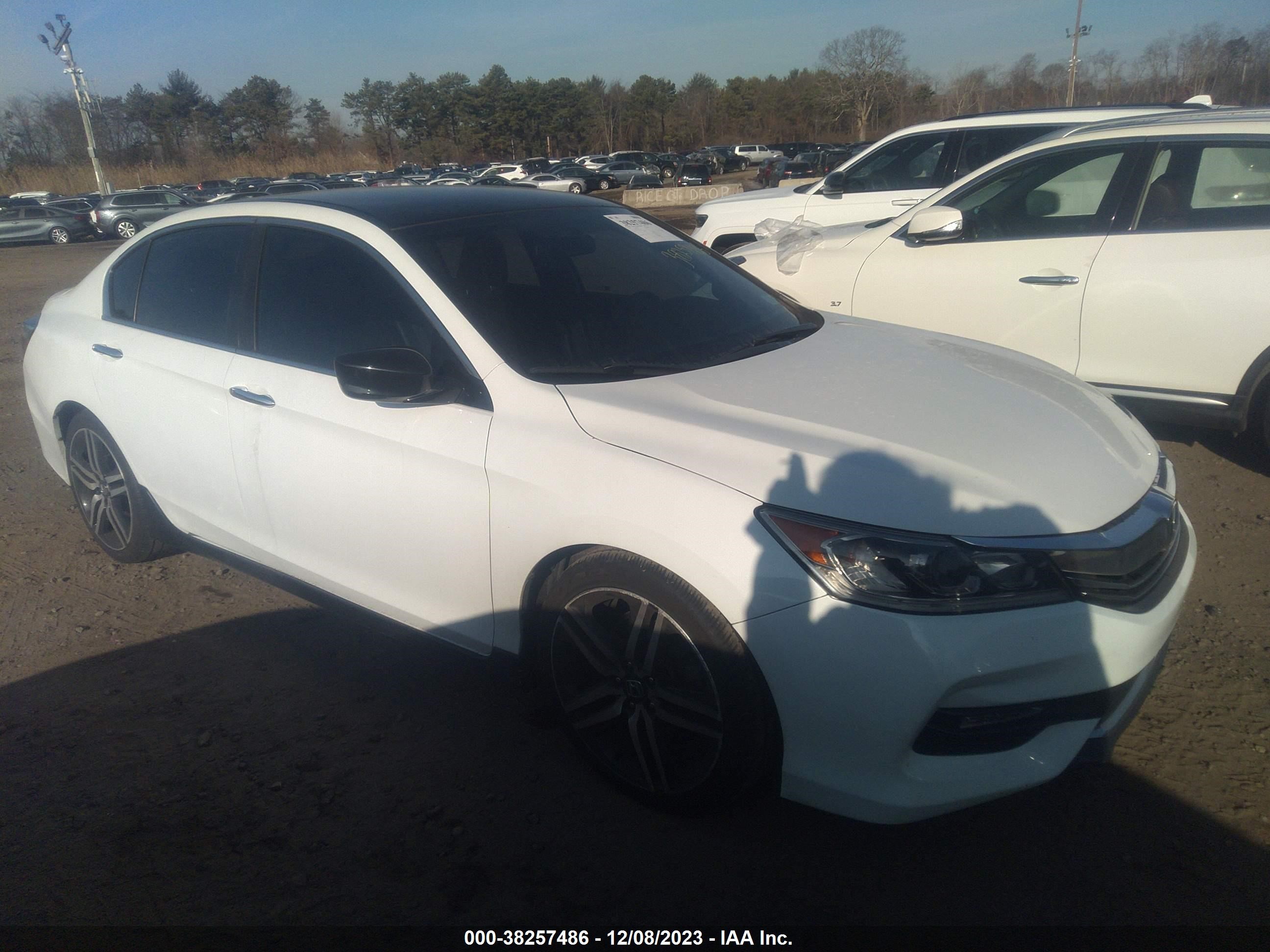 Photo 12 VIN: 1HGCR2F58HA126163 - HONDA ACCORD 