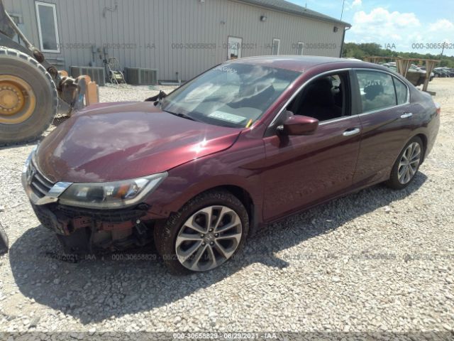 Photo 1 VIN: 1HGCR2F59DA103338 - HONDA ACCORD SDN 