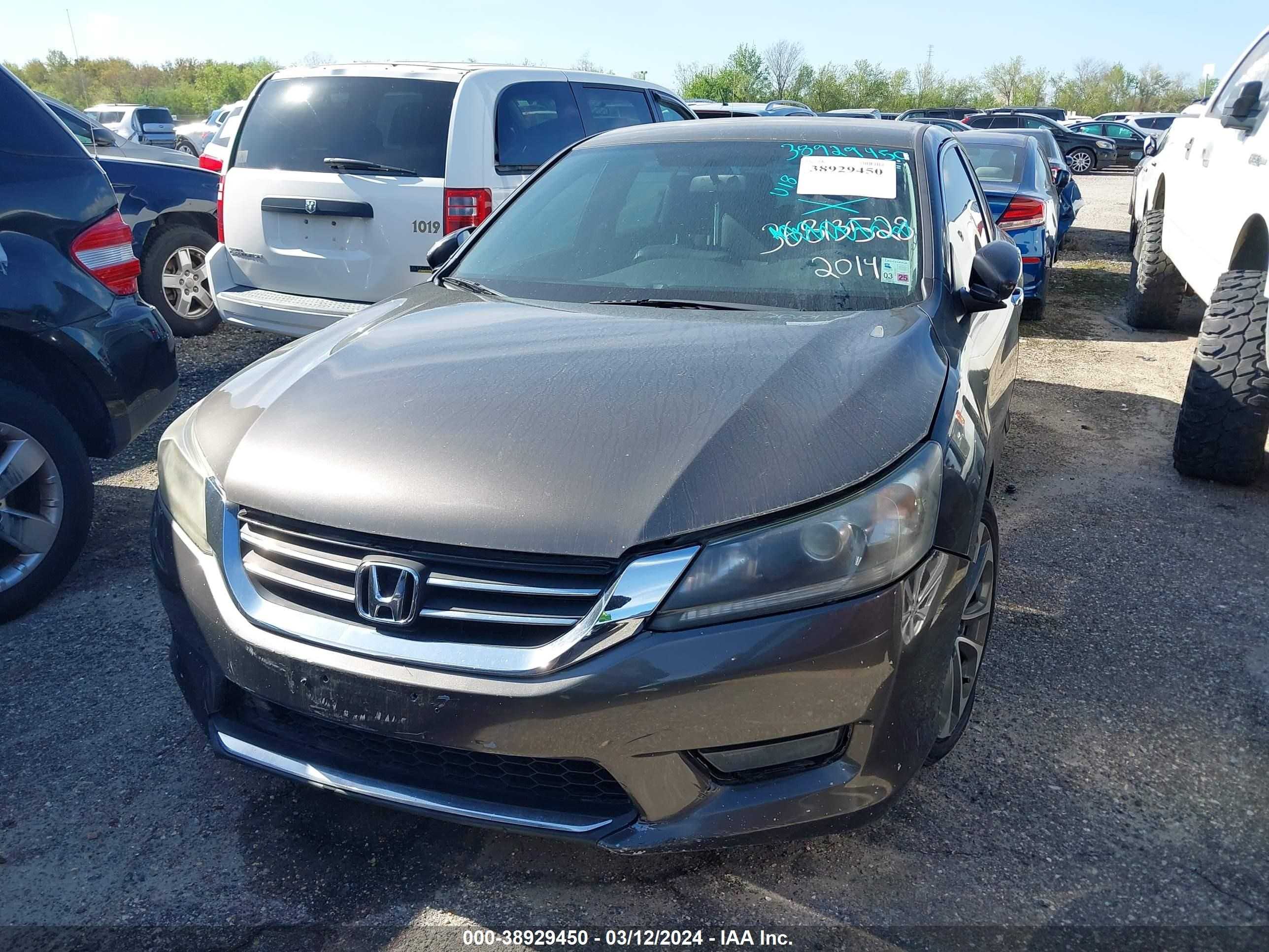 Photo 6 VIN: 1HGCR2F59EA244122 - HONDA ACCORD 