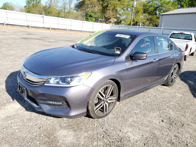 Photo 1 VIN: 1HGCR2F59GA023445 - HONDA ACCORD SPO 